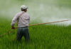 Attenzione: I soldi pubblici in agricoltura sostengono l'uso dei pesticidi.