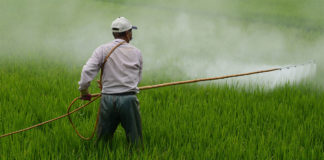 Attenzione: I soldi pubblici in agricoltura sostengono l'uso dei pesticidi.