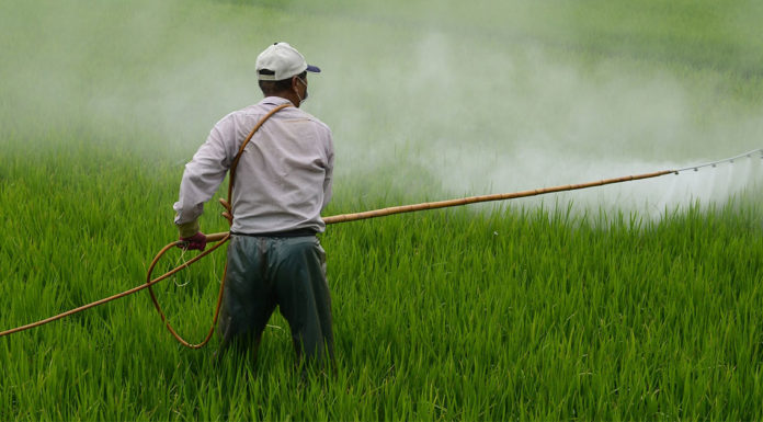 Attenzione: I soldi pubblici in agricoltura sostengono l'uso dei pesticidi.