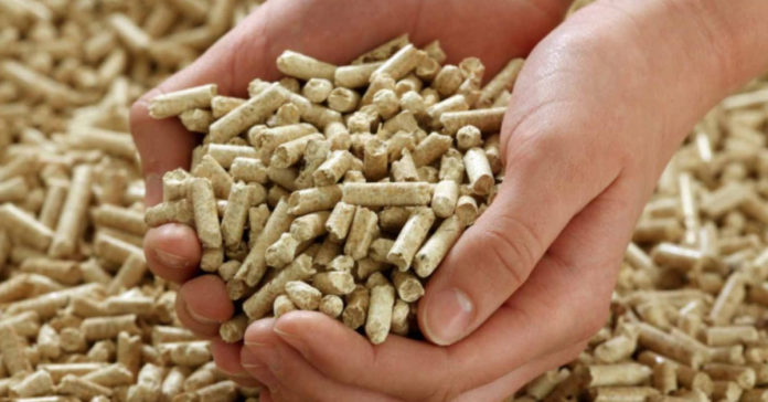Biocombustibili, anche il pellet deve essere di qualità