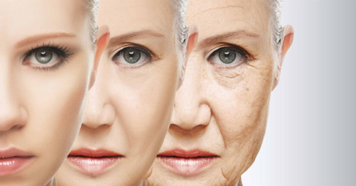 10 cibi viola contro l’invecchiamento precoce.